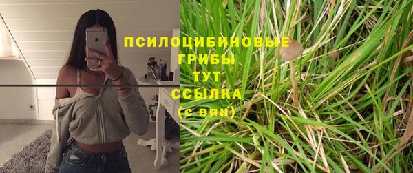 амф Арсеньев