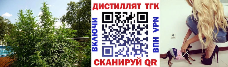 Дистиллят ТГК Wax  наркота  Николаевск-на-Амуре 