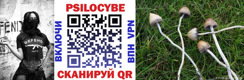 Псилоцибиновые грибы мухоморы  blacksprut онион  Николаевск-на-Амуре 