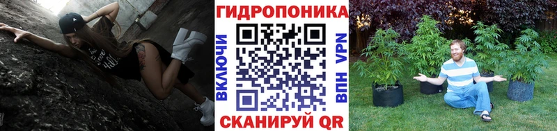 Шишки марихуана Ganja  Николаевск-на-Амуре 
